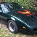 1991 Pontiac Firebird Trans Am 2dr Coupe 8cyl T-Top 130982k