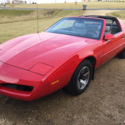 1991 Pontiac Firebird with T-Tops   39,200 ACTUAL MILES!!