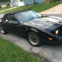 1991 Pontiac Trans AM convertible WS6 edition !!!!