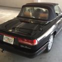 1993 IV Series Black Pearl