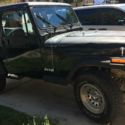 1993 Jeep Wrangler, 4cyl 5-speed hardtop