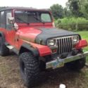 1993 Jeep Wrangler Base Sport Utility 6 Cyl 4.0L AWD Automatic custom items