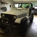 1994 2dr 6cyl HT Manual white gray lifted a/c bimini front/rear bmpr full spare