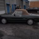 1994 Alfa Romeo Spider Veloce Commemorative Edition #43 of 190