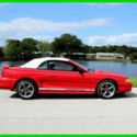 1994 GT 2dr Convertible Used 5L V8 16V Automatic Convertible