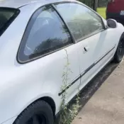 1994 Honda Civic Coupe White EX