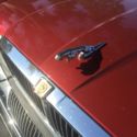 1994 Jaguar XJ12 Base Sedan 4-Door 6.0L