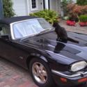 1994 Jaguar XJS convertible 2+2 (Last 12 cylinder model) - Collectible