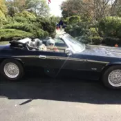 1994 Jaguar XJS Convertible Black 2+2