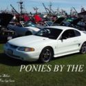 1994 Mustang Cobra SVT 5.0L Crystal White, Black Cloth Int, Only 268 Produced