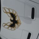 1995 pontiac trans am lt1 6 speed manual