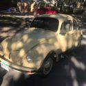 1999 Mexican VW Beetle 100% NO Reserve