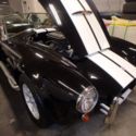 2003 Cobra Replica, salvage, repairable, Ford, 302