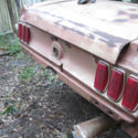 (3 Mustangs) 2 Ford Mustang 1970 Fastback shells and 1 1969 rolling Coupe shell
