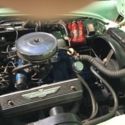 55 Thunderbird &quot;NO RESERVE&quot; SOMEONE WILL GET A STEAL