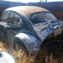 64 VW Baha