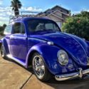 64&#039; BUG *** NO RESERVE *** HotVW Magazine Featured Bug ***