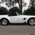 66 Shelby Cobra replica 427 factory eight kit
