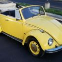 68 VW Bug, Great Little Car! New Top, Interior, Runs Good.