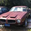 71 firebird