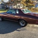 73 Buick Century  Luxus