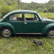 74 Beetle Runs Great Solid Car