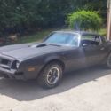 75 pontaic trans am 455