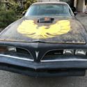 78 PONTIAC TRANS AM  SURVIVOR