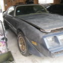 80 Trans Am