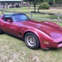 81 Chevy Vette C3 Removable T-Top T-Tops Glass Roof TT AT Auto Posi 350 L81 V8