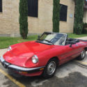 86 alfa spider graduate