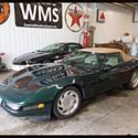 94 Green Corvette Vette Manual 6 speed Standard Conv. Convertible Tan WMS