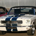 A collection of 3 Special 1966 Mustangs, 3  GT350C   Convertilbles