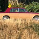A very stunning Shadow II offered for sale.