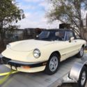 Alfa Romeo 1984 Runs great! Fun car! Great investment!