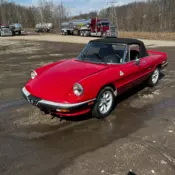 alfa romeo cars and trucks