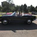 Alfa Romeo Gulia Spider