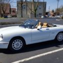 Alfa Romeo Spider Veloce-NO RESERVE