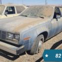 amc hornet