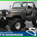 amc lift warn aluminum edelbrock flowmaster cooper hardtop gray black 304 v8 4WD