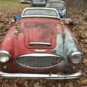 Austin Healey RDSTR 1960 Red