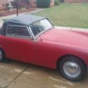 Austin Healey Sprite - Project Car - Selling To The Highest Bidder