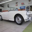 austin healy