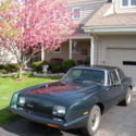 AVANTI II  -  1985