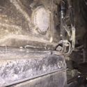 Bard find 1986 Shelby glhs 54437  miles # 199