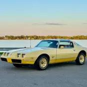 BEAUTIFUL 1980 PONTIAC FIREBIRD YELLOW BIRD T-TOPS VERY ORIGINAL- NO RESERVE