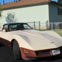 Beautiful 1981 Chevrolet Corvette 1 Owner 39,000 miles. Always garage kept.