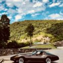Beautiful Brown L82 Vette with cold ac stick shift t-tops and recently serviced