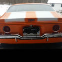 BEAUTIFUL HUGGER ORANGE WITH WHITE STRIPES Z28
