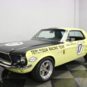 BEAUTIFUL SHELBY TERLINGUA TRIBUTE, VERY FRESH-FRAME OFF RESTORATION! MUST SEE!